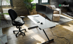 Circulation Gains from a Sit-to-Stand Desk: Real or Hype?