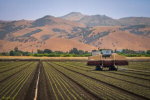 Why Data is the New Lifeblood of the Modern Ranch